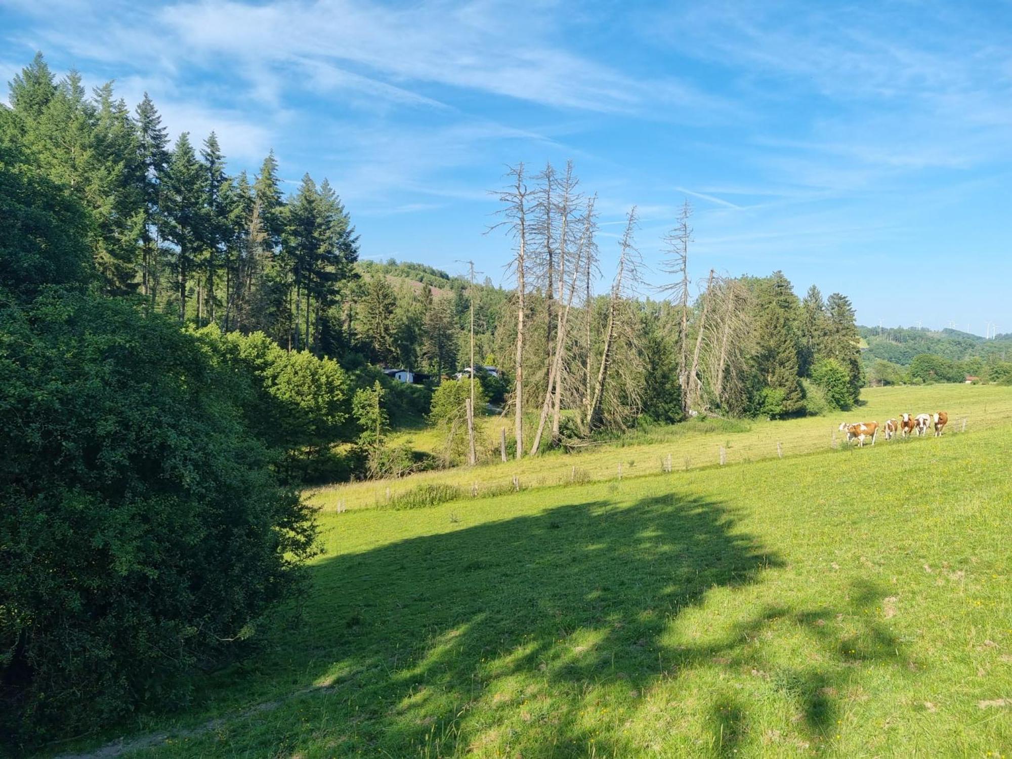 Explorer'S Lodge & Camping Helminghausen Extérieur photo